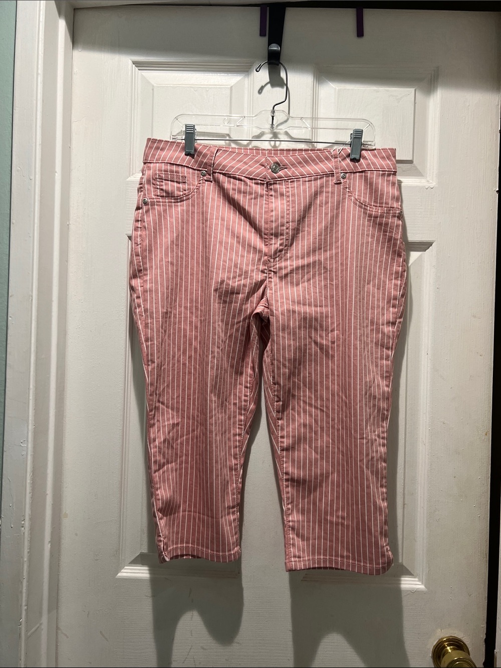 Lasagna Women's Pink Striped Capris - Classic Cropped Pants